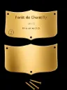 P02 - Plaque laiton vierge pour écusson à Graver - 70*40*1mm- (Livrée avec clous)