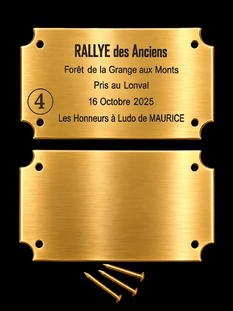 P04 - Plaque laiton vierge pour écusson à Graver - 70*40*1mm- (Livrée avec clous)