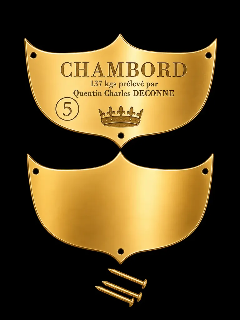 P05 - Plaque laiton vierge pour écusson à Graver - 70*40*1mm- (Livrée avec clous)